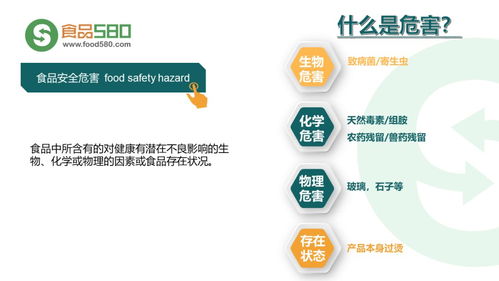 構筑餐桌安全防線 餐飲業食品安全管理體系與企業管理實踐